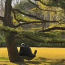 北京旅游 缩略图 1
