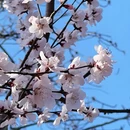 北京旅游 缩略图 7