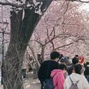北京旅游 缩略图 9