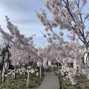 北京旅游 缩略图 1