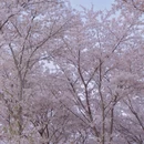 北京旅游 缩略图 2