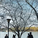 北京旅游 缩略图 2