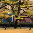 北京旅游 缩略图 10