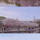 北京旅游 缩略图 7