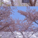 北京旅游 缩略图 5