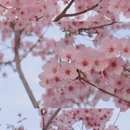 北京旅游 缩略图 3