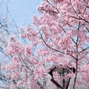 北京旅游 缩略图 3