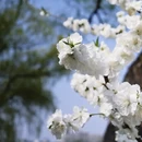 北京旅游 缩略图 4