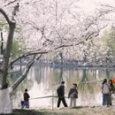 北京旅游 缩略图 8