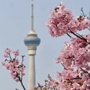 北京旅游 缩略图 5