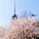 北京旅游 缩略图 13