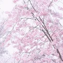 北京旅游 缩略图 15