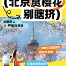 北京旅游 缩略图 1