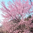 北京旅游 缩略图 10