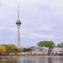 北京旅游 缩略图 11