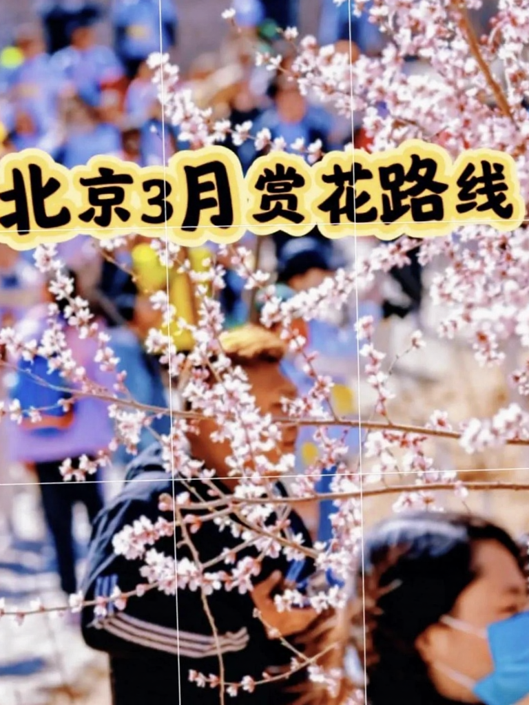 北京旅游