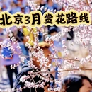 北京旅游 缩略图 1