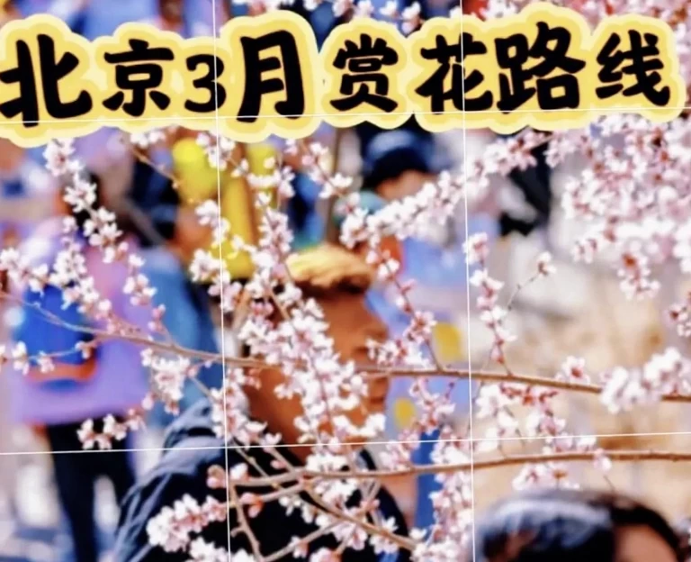 北京旅游 1