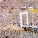 北京旅游 缩略图 2