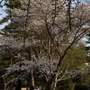 北京旅游 缩略图 3