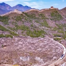 北京旅游 缩略图 1