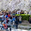 北京旅游 缩略图 4