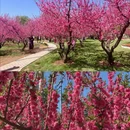 北京旅游 缩略图 3