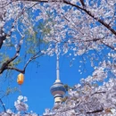 北京旅游 缩略图 2