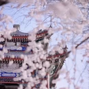 北京旅游 缩略图 1