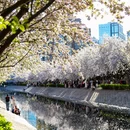 北京旅游 缩略图 5