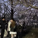 北京旅游 缩略图 2