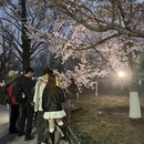 北京旅游 缩略图 1