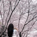 北京旅游 缩略图 1
