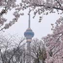北京旅游 缩略图 2