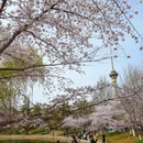 北京旅游 缩略图 6