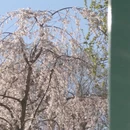 北京旅游 缩略图 4