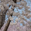北京旅游 缩略图 8