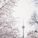 北京旅游 缩略图 18