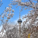 北京旅游 缩略图 1