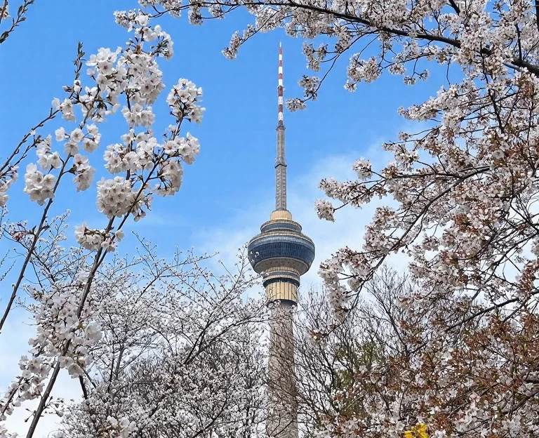 北京旅游 1