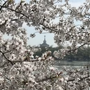 北京旅游 缩略图 5