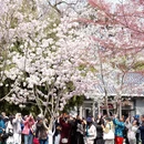 北京旅游 缩略图 17