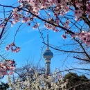 北京旅游 缩略图 2