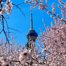 北京旅游 缩略图 9