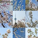 北京旅游 缩略图 1