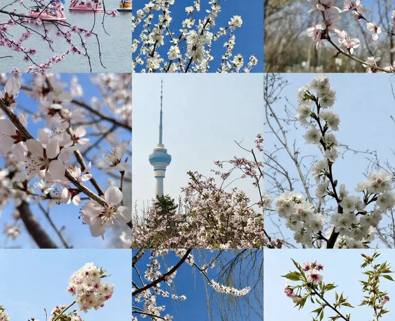 北京旅游 1