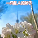 北京旅游 缩略图 8