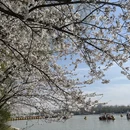北京旅游 缩略图 6
