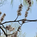 北京旅游 缩略图 2