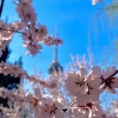 北京旅游 缩略图 10